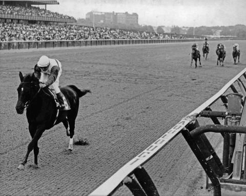 Ruffian romps in the 1975 Mother Goose Stakes.